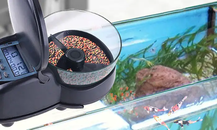 10 Best Automatic Fish Feeders Reviewed In 2018 TheGearHunt