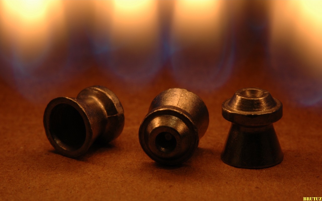 Best Air Rifles & Long Range Pellet Guns in 2018 TheGearHunt