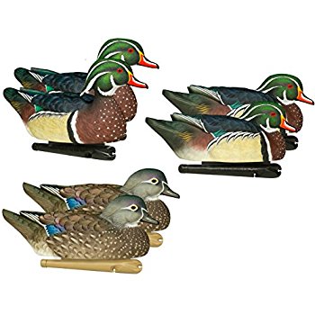 AvianX
