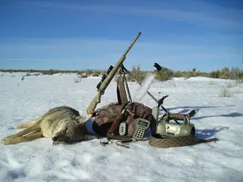 winter-hunting