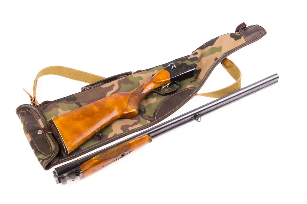 Best Rifle Cases