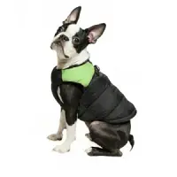Gooby Padded
