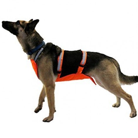 4. Dogoc Vest