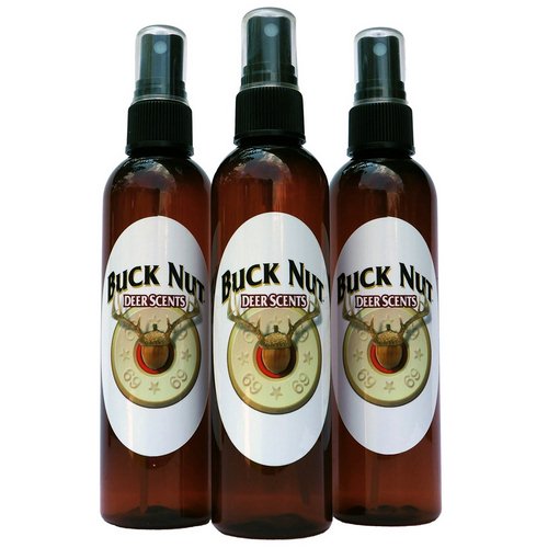 8. Buck Nut Acorn