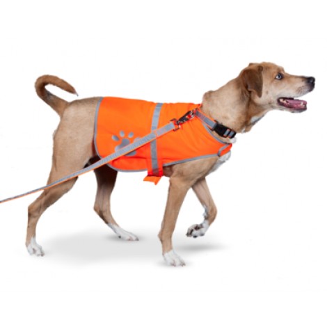 2. Petflect Reflective