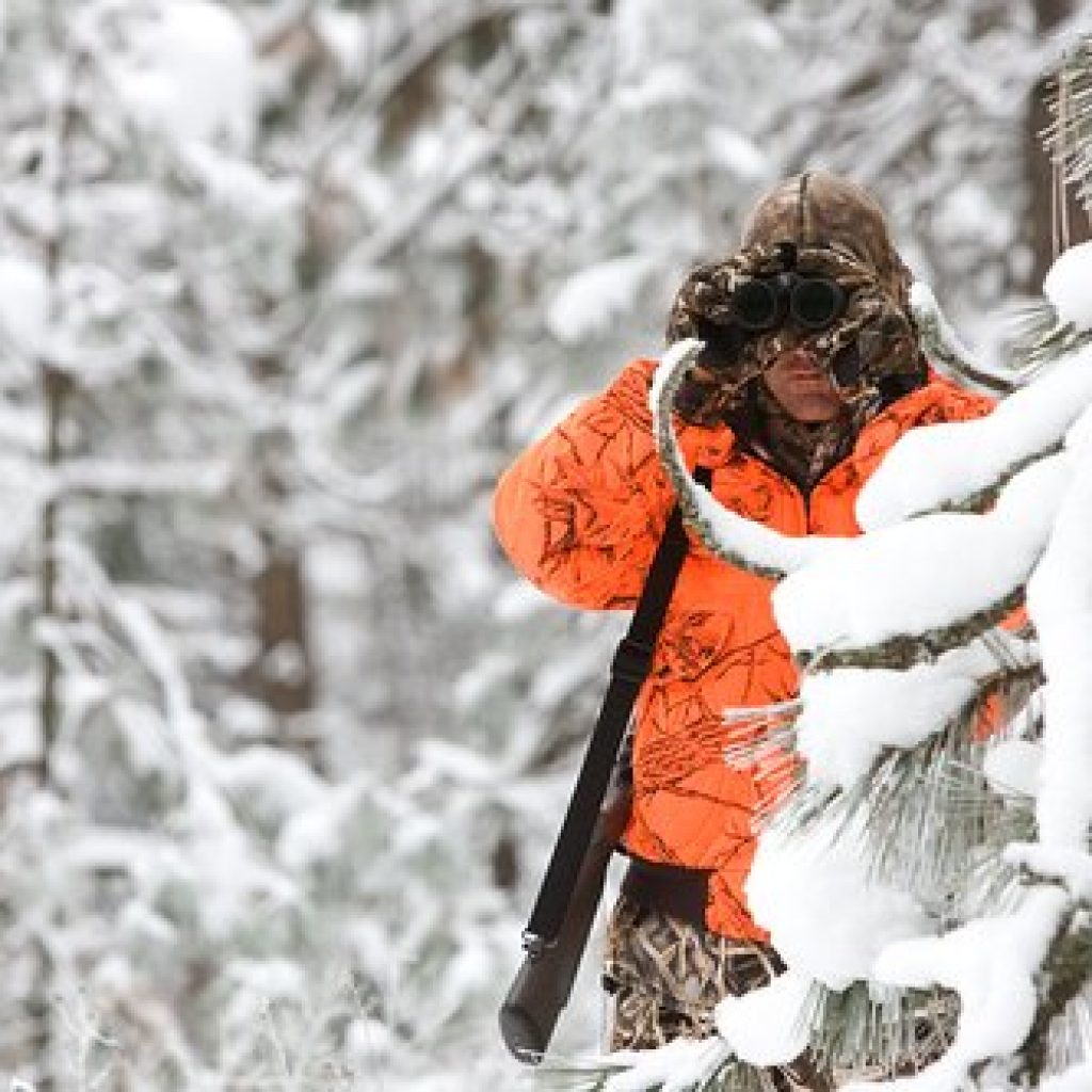 Hunting in Snow Tips and Strategies for Adjusting to the Tough