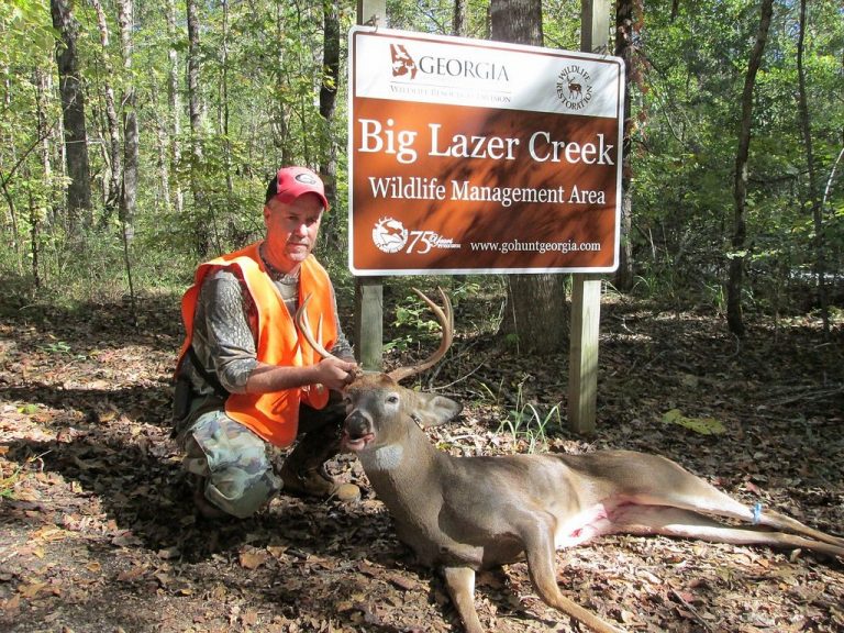 Most Common Hunting Violations And How To Avoid Them TheGearHunt