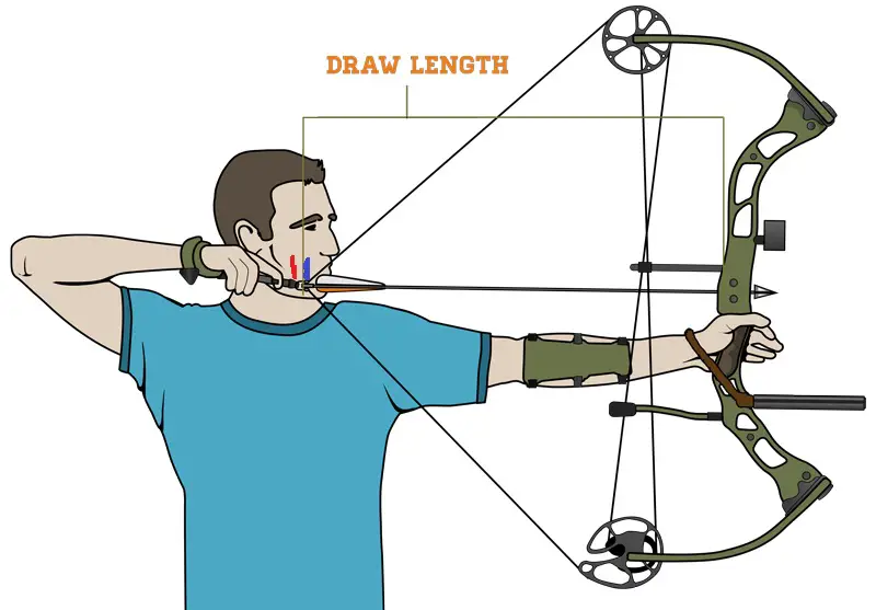 Best Compound Bows Reviewed & Rated in 2018 TheGearHunt
