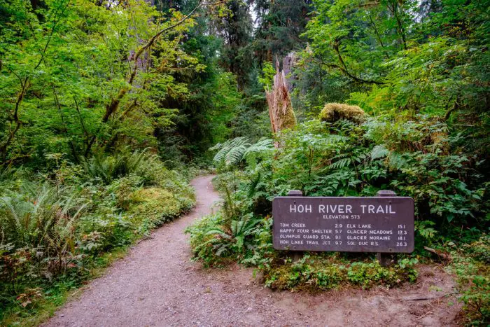 The Hoh River Trail in Washington