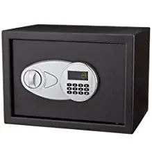Amazon Basics Security Safe