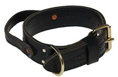 5. Signature K9 2-Inch Heavy