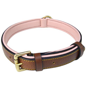 15 Best Leather Dog Collars Reviewed & Rated in 2018 TheGearHunt