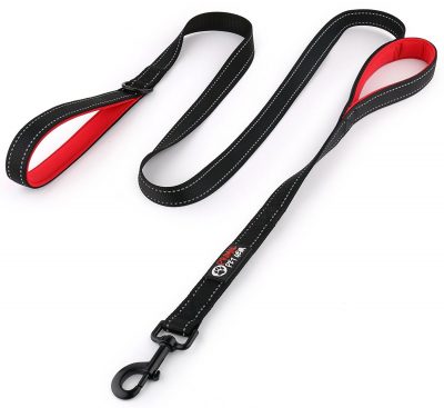 best dog leash ever
