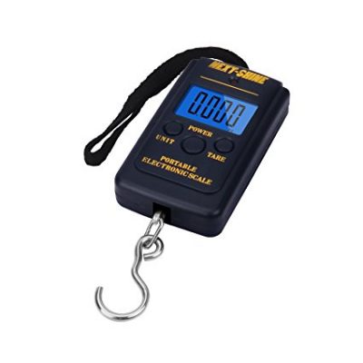 10 Best Fishing Scales Reviewed & Rated in 2024 | TheGearHunt