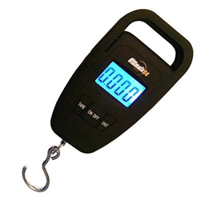 10 Best Fishing Scales Reviewed & Rated in 2024 | TheGearHunt