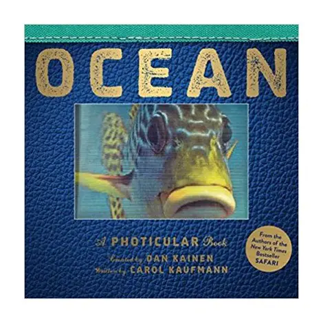 2. Ocean: A Photicular book