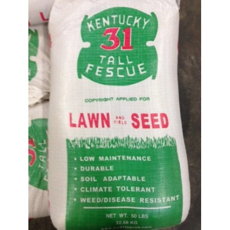 2. Kentucky 31 Tall Fescue 50