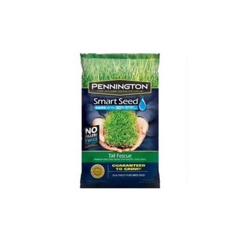 4. Pennington Smart Seed