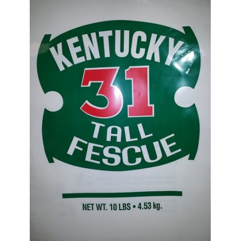 6. Kentucky 31 Tall Fescue 10
