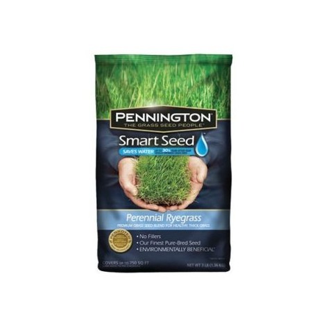 7. Pennington Perennial Rye Blend