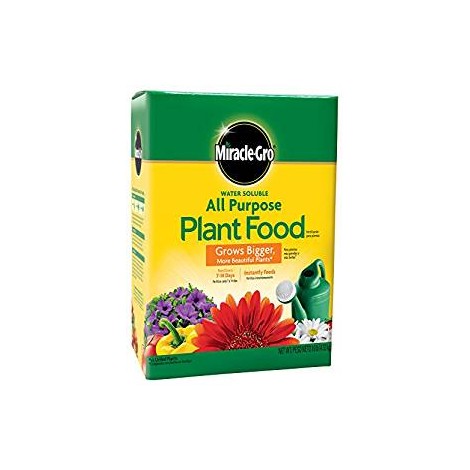 3. Miracle Gro All Purpose