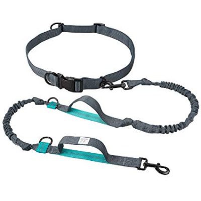 hands leash with collar