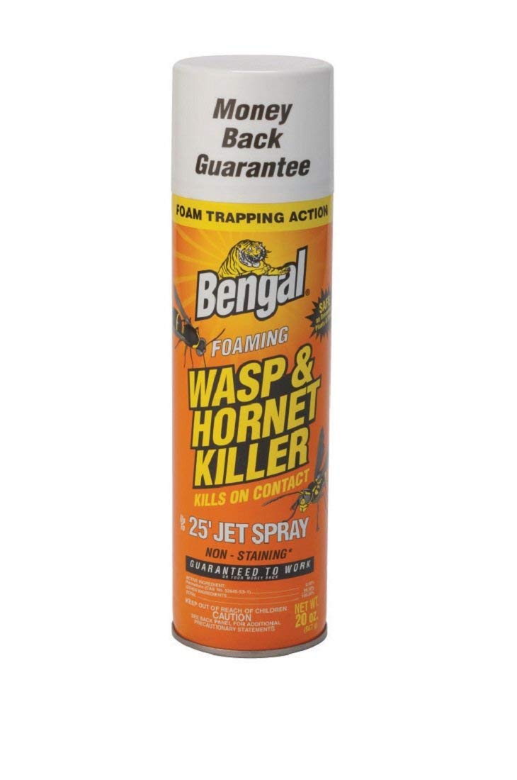 10 Best Wasp Sprays Reviewed in 2024 TheGearHunt