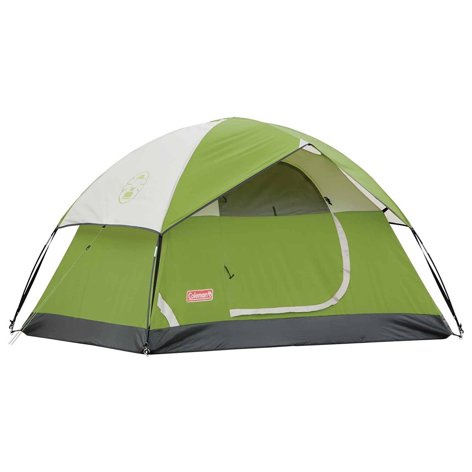 10 Best Cheap Tents Reviewed and Rated in 2024 TheGearHunt