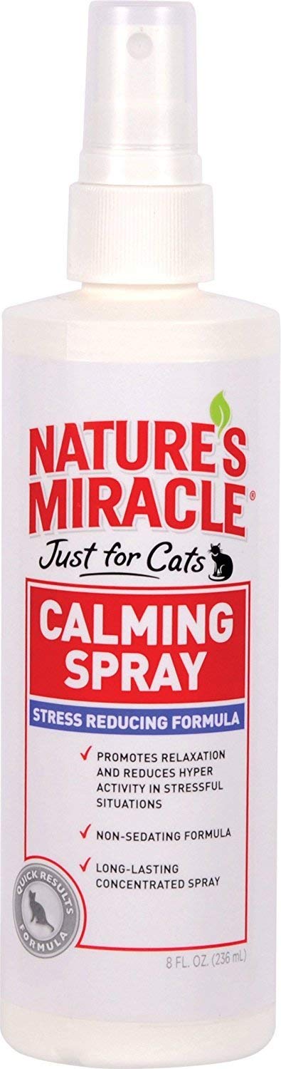 10 Best Cat Calming Sprays Reviewed in 2022 | TheGearHunt