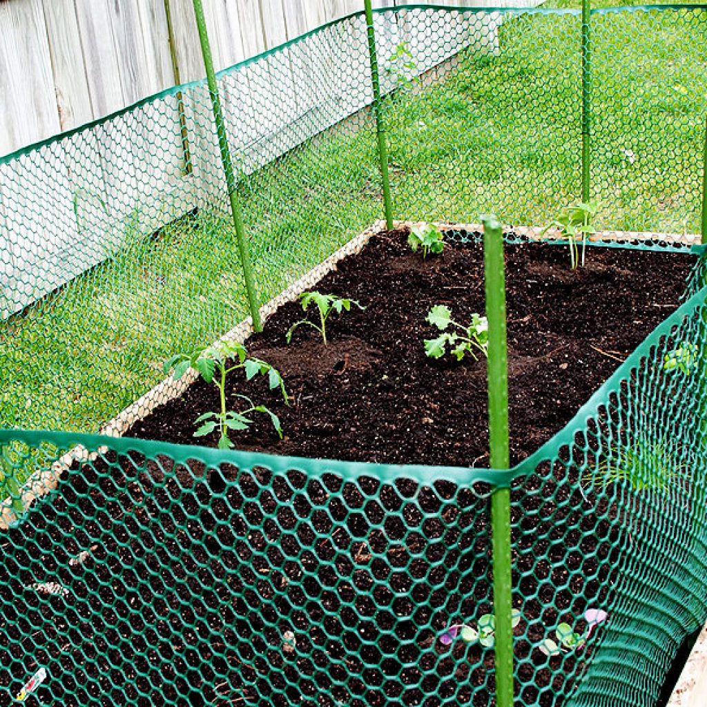 Deer Deterrent Ideas for Your Garden A Guide TheGearHunt