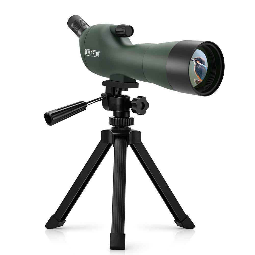 10 Best Spotting Scopes Reviewed in 2024 TheGearHunt