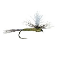 Blue-Winged Olive