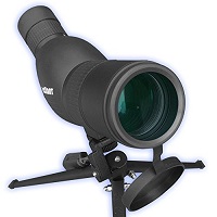 The Roxant Authentic Blackbird HD