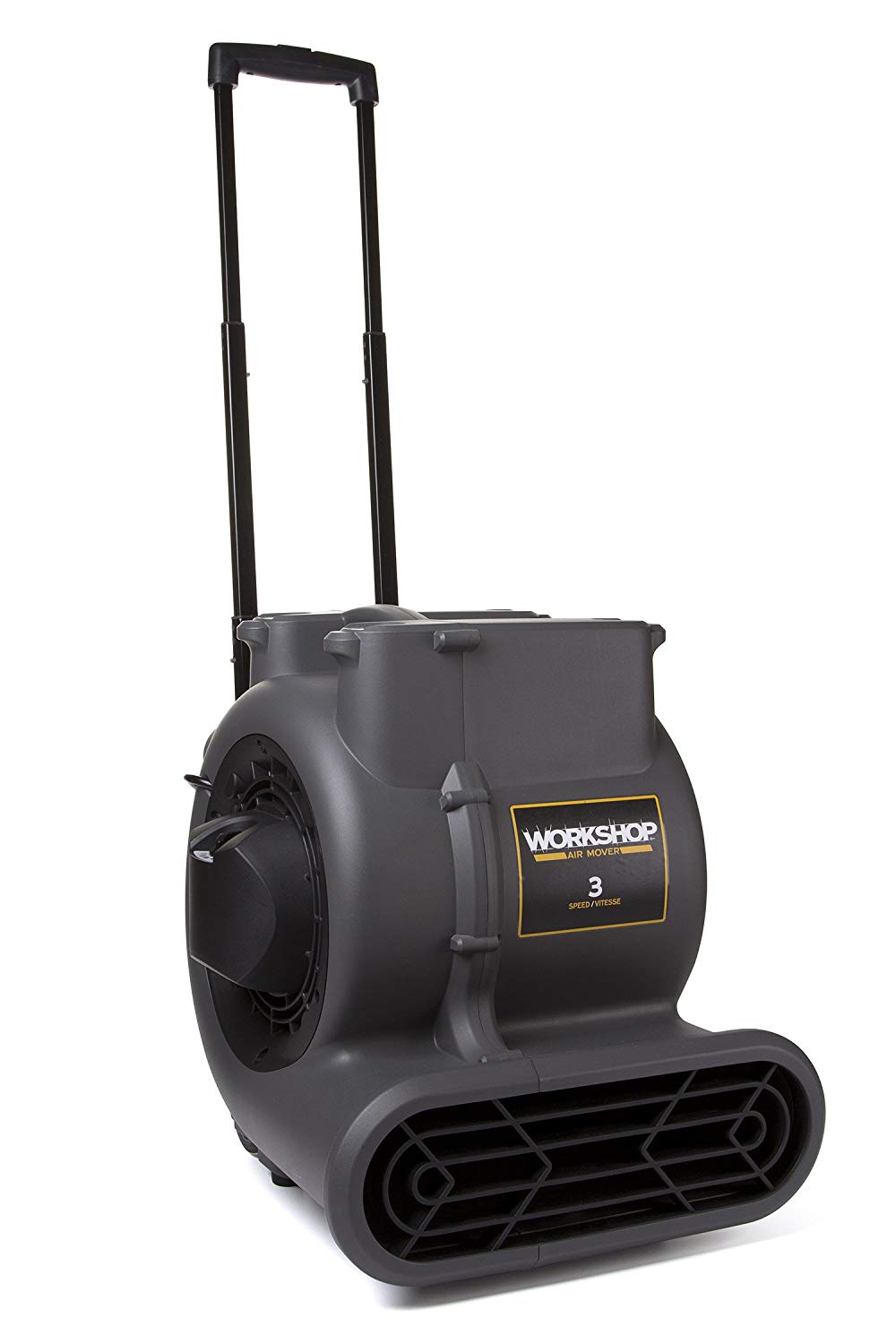 Best Carpet Dryers Reviewed & Rated for Quality TheGearHunt