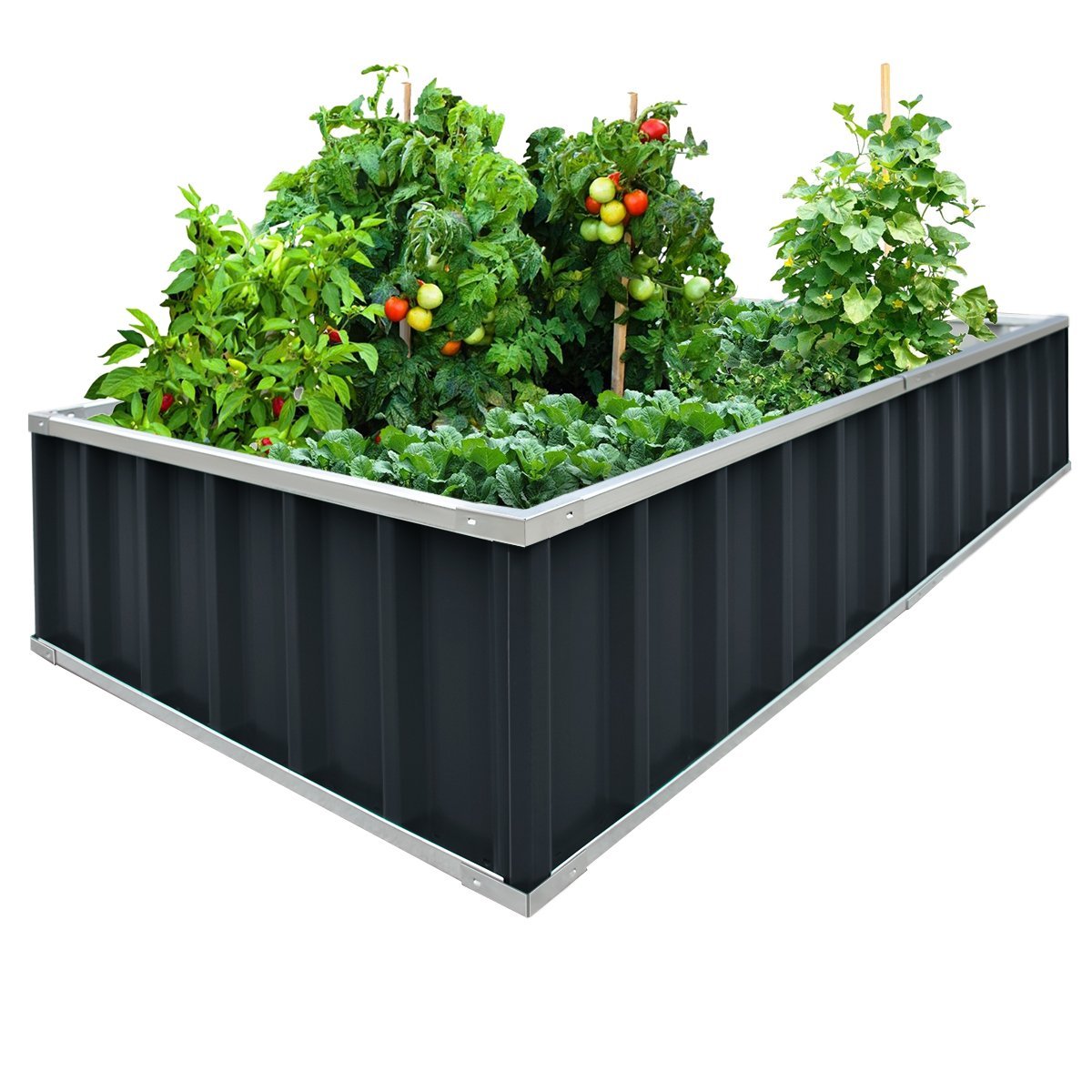 Best Raised Garden Beds Reviewed & Rated for Quality - TheGearHunt