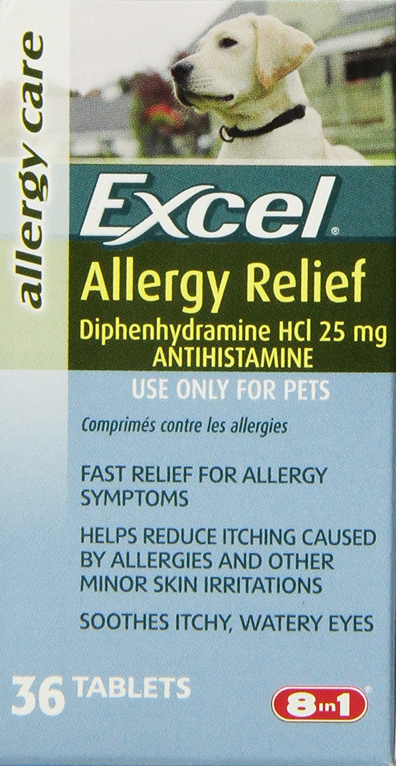 Best Allergy Medicines for Dogs Reviewed & Rated for Quality TheGearHunt