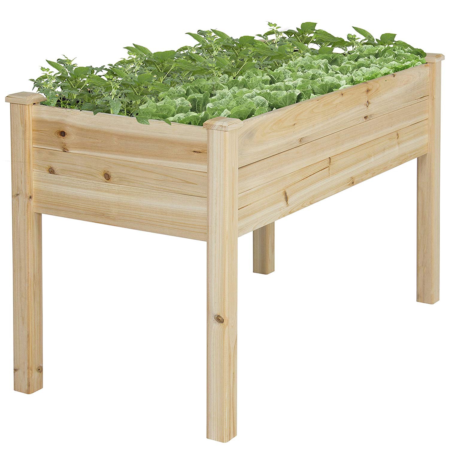 Best Raised Garden Beds Reviewed & Rated for Quality TheGearHunt