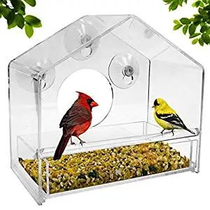  Nature Gear Window Bird Feeder