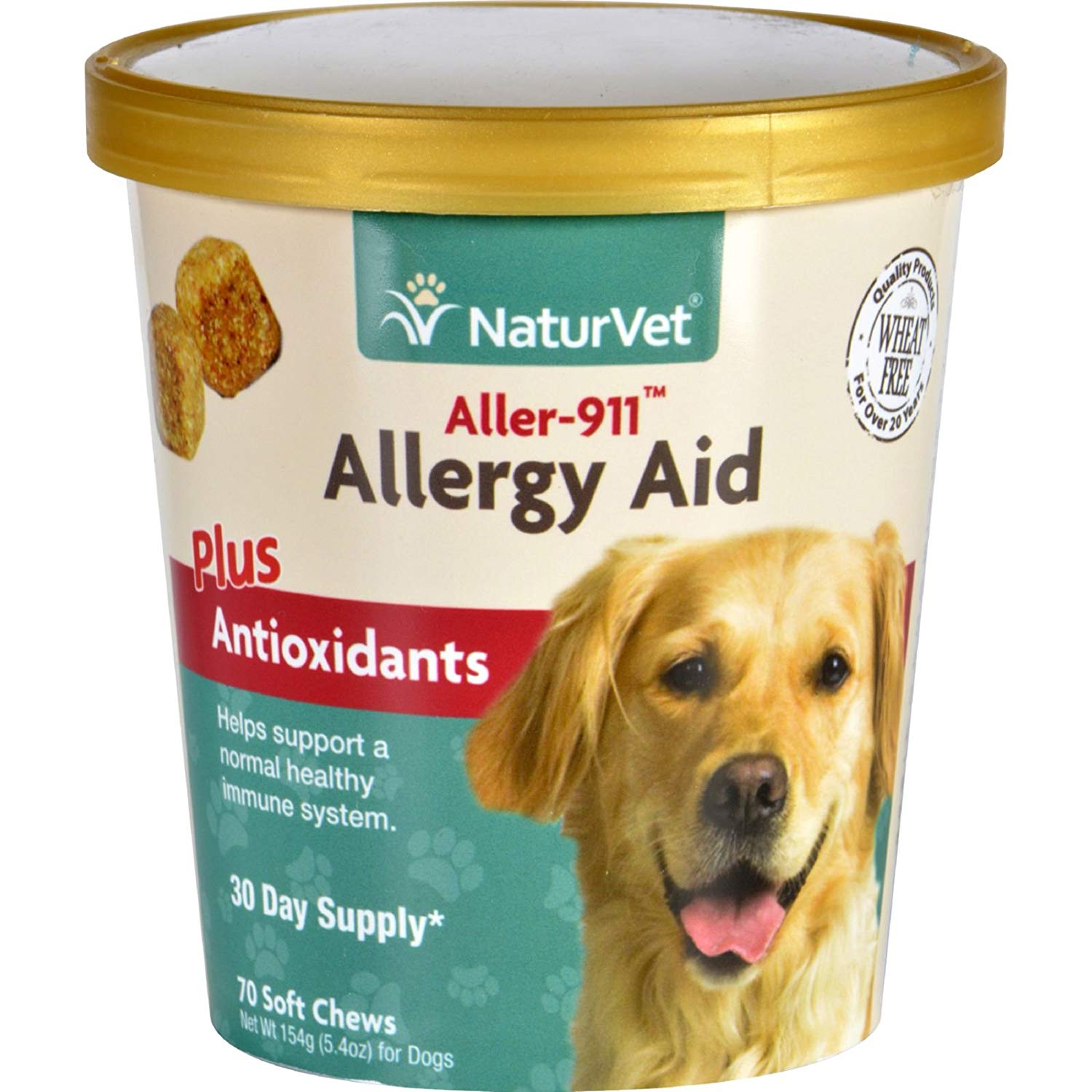 Best Allergy Medicines for Dogs Reviewed & Rated for Quality TheGearHunt