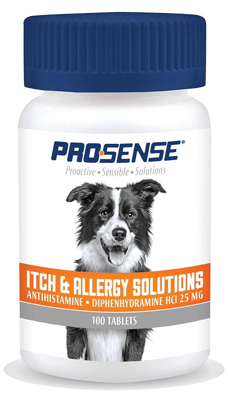 Best Allergy Medicines for Dogs Reviewed & Rated for Quality TheGearHunt