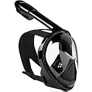 2. DIVELUX Snorkel Mask