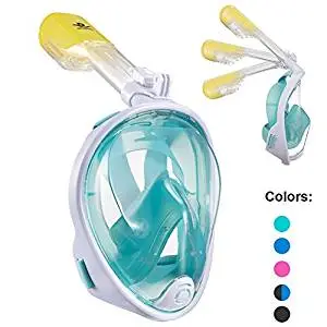 7. QingSong Snorkel Mask 180 Panoramic