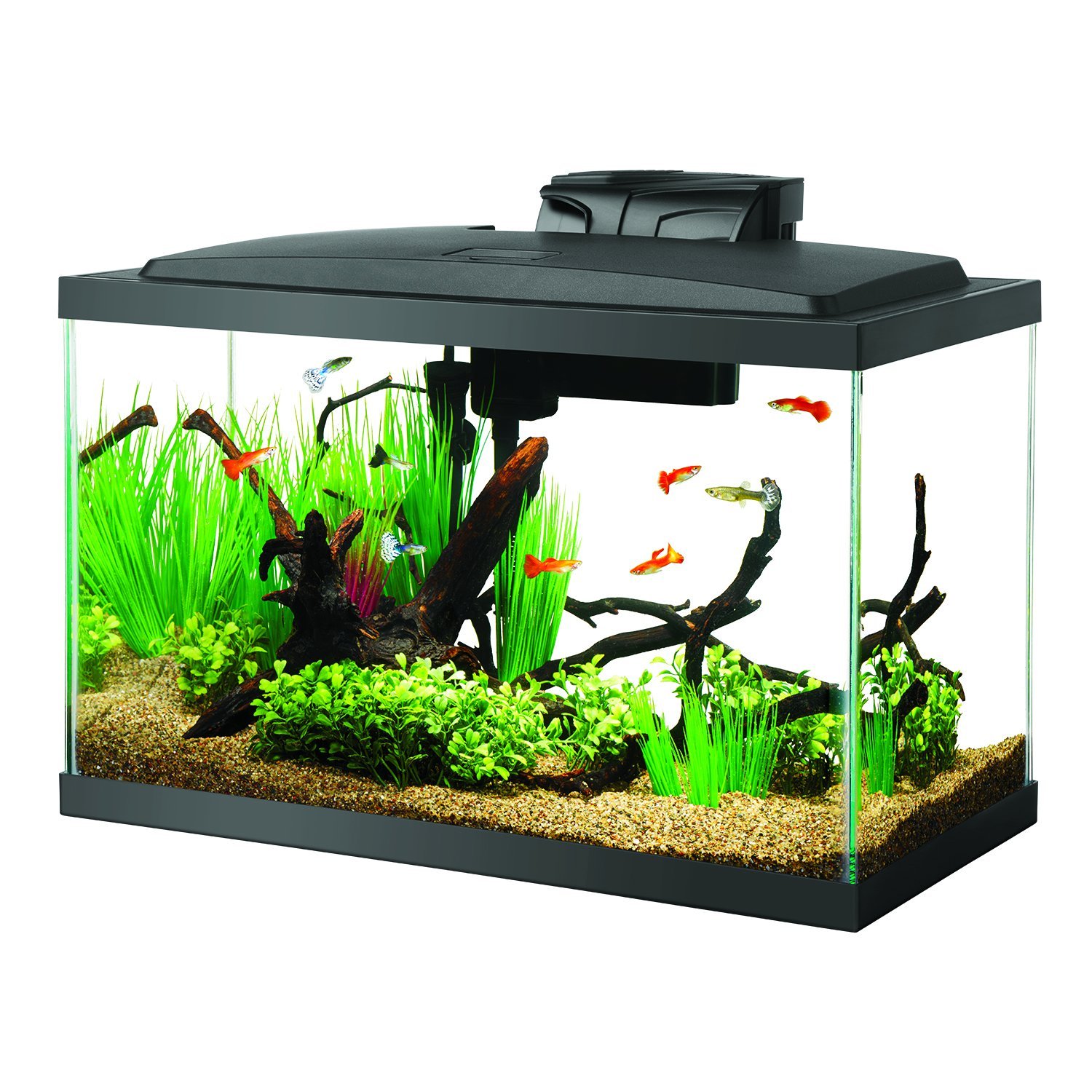 Best Fish Tanks Reviewed & Rated for Quality - TheGearHunt