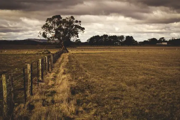 Farmland