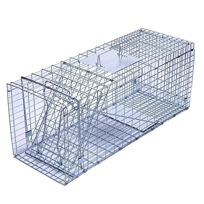 Best Raccoon Traps Reviewed & Rated for Quality - TheGearHunt