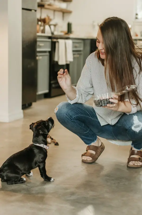 Woman-Feeding-Dog