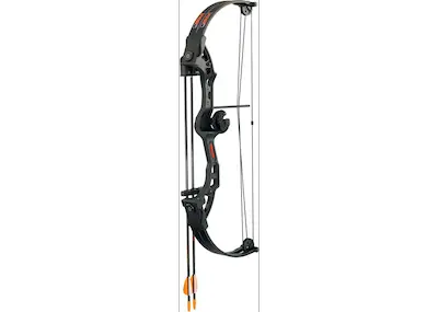 bear brave 2 black youth bow