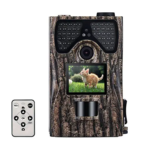 10 Best Wildlife Cameras Reviewed in 2022 TheGearHunt