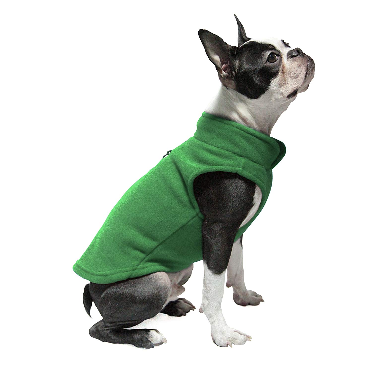 10 Best Dog Jackets Reviewed and Rated in 2022 TheGearHunt