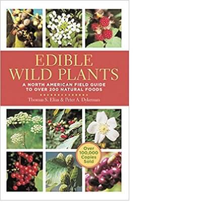 Edible Wild Plants